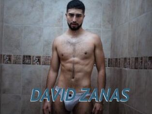 DAVID_ZANAS