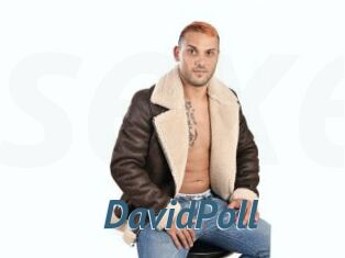 DavidPoll