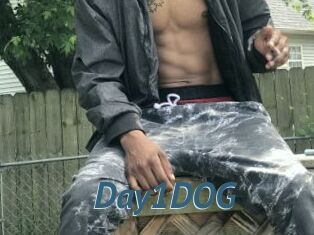 Day1DOG
