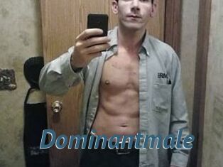Dominantmale