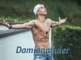 Damianmiuler