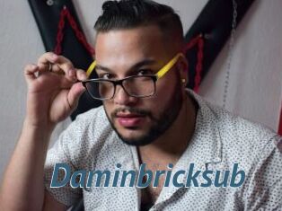 Daminbricksub