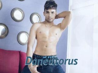 Daneil_torus