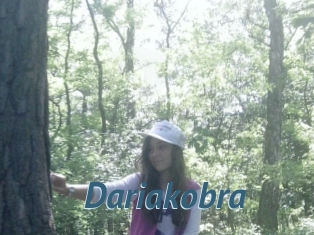 Dariakobra