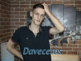 Davecerus