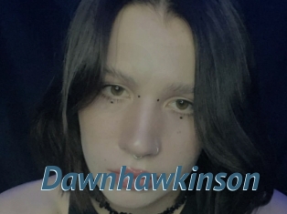 Dawnhawkinson