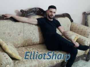 ElliotSharp