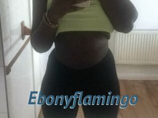 Ebony_flamingo