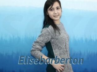 Elisebarberton