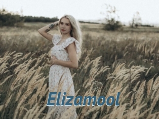 Elizamool