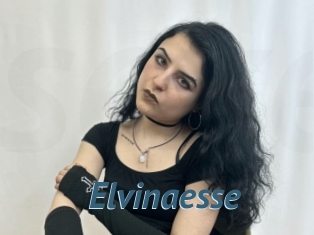 Elvinaesse