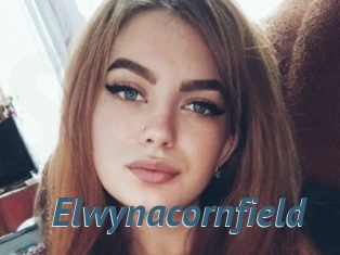 Elwynacornfield