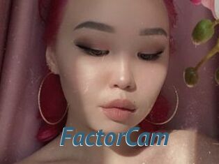 FactorCam