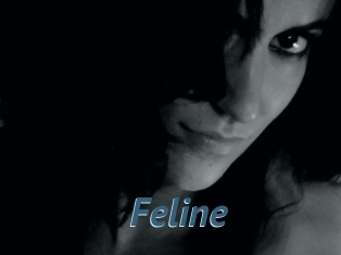 Feline