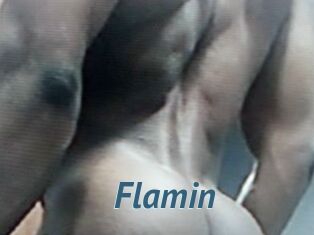 Flamin