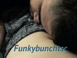 Funkybunchtsc