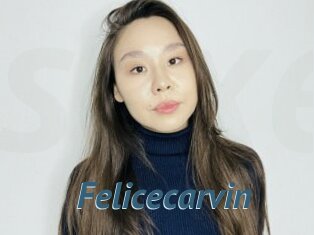 Felicecarvin