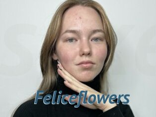 Feliceflowers