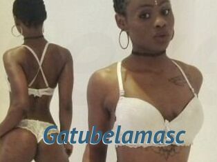 Gatubela_masc