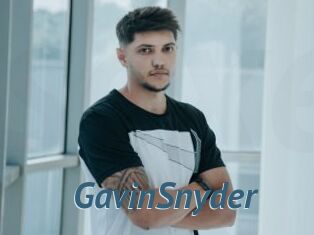 GavinSnyder