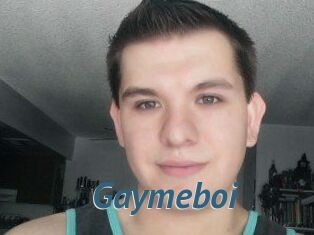 Gaymeboi