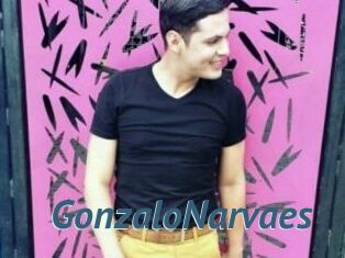 GonzaloNarvaes
