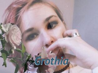 Grothia