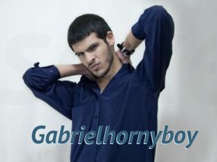 Gabrielhornyboy