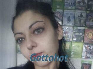 Gattahot