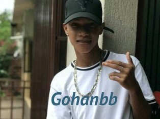 Gohanbb