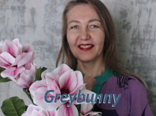 Greybunny