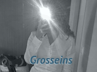 Grosseins