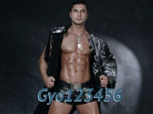 Gyo123456