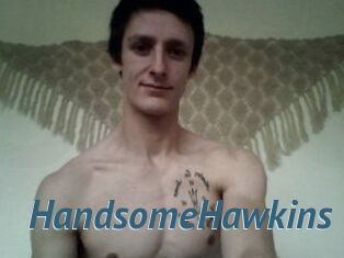 HandsomeHawkins