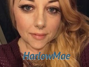 Harlow_Mae