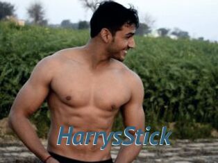 HarrysStick