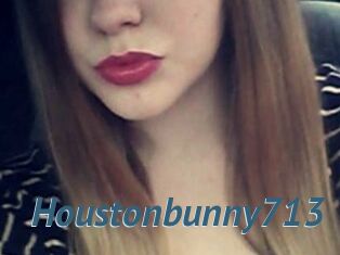 Houstonbunny713