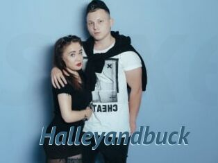 Halleyandbuck