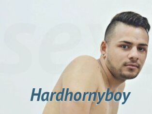 Hardhornyboy
