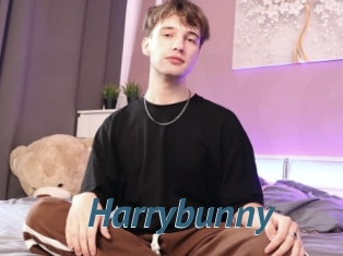 Harrybunny