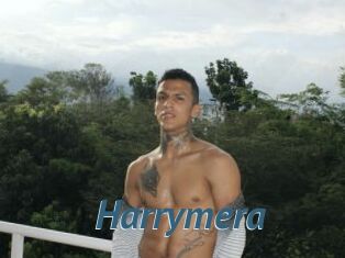 Harrymera