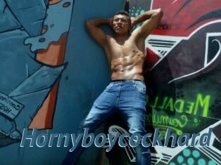 Hornyboycockhard