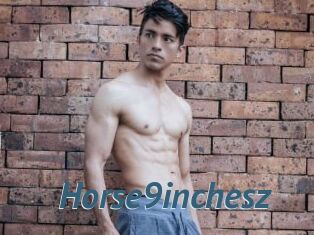 Horse9inchesz