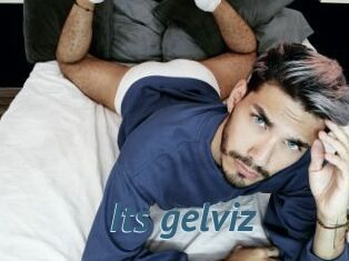 Its_gelviz