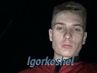 Igorkoshel