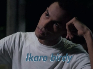 Ikaro_birdy