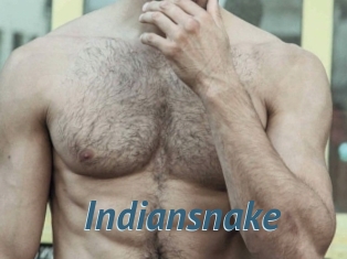 Indiansnake