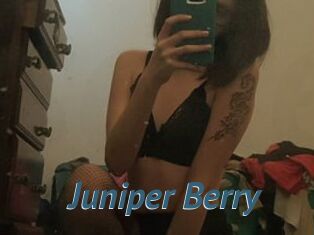 Juniper_Berry