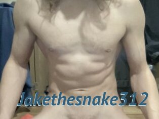 Jakethesnake312