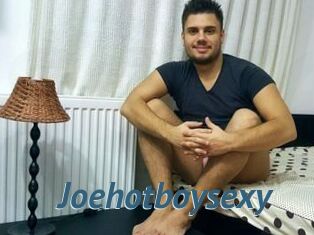 Joehotboysexy